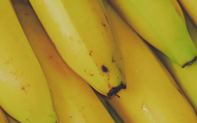 Probiotics vs Prebiotics | How Microbes Promote Health