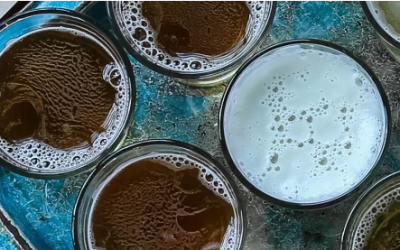 Exploring the Umami Potential in Beverages