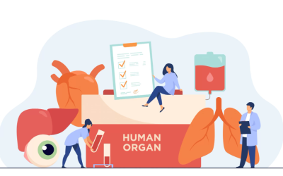 Maddening itch of liver disease comes from a surprising source