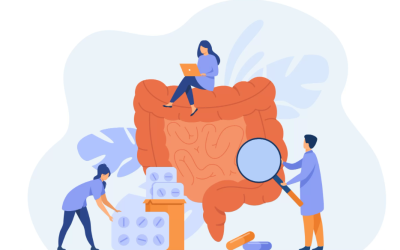 How Your Gut Is Connected To Your Immune System