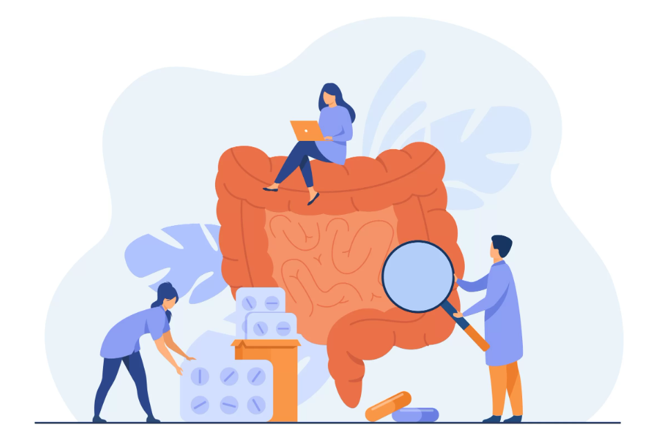 How Your Gut Is Connected To Your Immune System