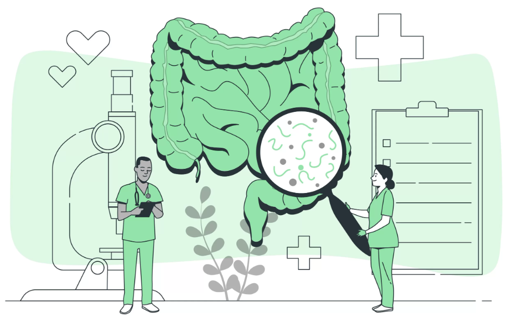 Gut Bacteria Linked to Diabetes Development, Study Finds