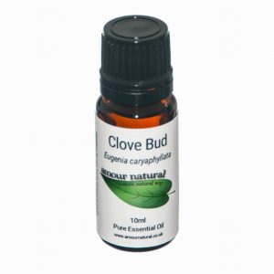 Clove Bud Pure Essential Oil 10ml