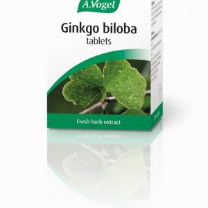 Ginkgo biloba tablets