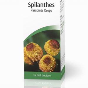 AVogel Spilanthes - 50ml Liquid