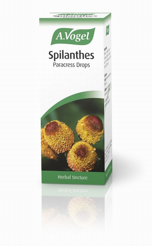 AVogel Spilanthes - 50ml Liquid
