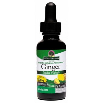Nature's Answer Ginger Root Alcohol Free Liquid Herbal Extract - Image 2