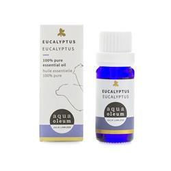Eucalyptus 10ml