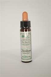 Hornbeam Bach Flower Remedy