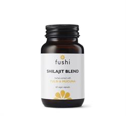 Shilajit Wholeofod Extra Strength 500mg