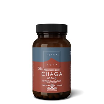 Terranova Chaga 500mg - 100caps - Image 2