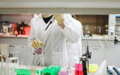 Study Shows How Our Gut Microbes Impact Sleep Patterns