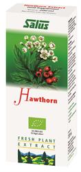 Organic Hawthorn Fresh Plant Juice