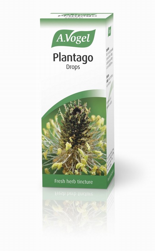 AVogel Plantago - 50ml Liquid