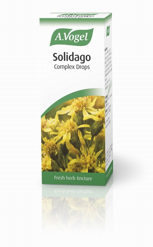 AVogel Solidago Complex - 50ml Liquid