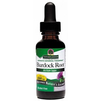 Nature's Answer Burdock Root Alcohol Free Liquid Herbal Extract - Image 2