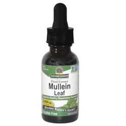 Nature's Answer Mullein Leaf Alcohol Free Liquid Herbal Extract - Image 2