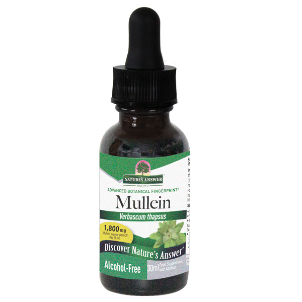 Nature's Answer Mullein Leaf Alcohol Free Liquid Herbal Extract